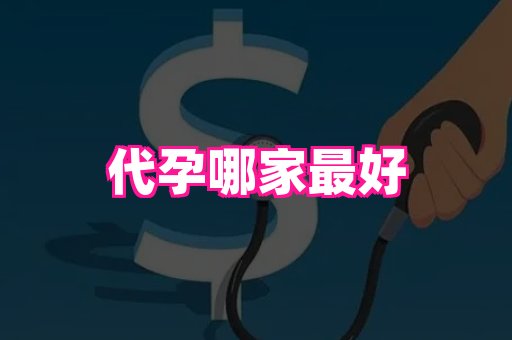 国际助孕网 1