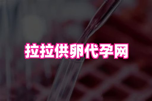 国际助孕网 3